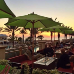 Caretta on the Gulf-Clearwater