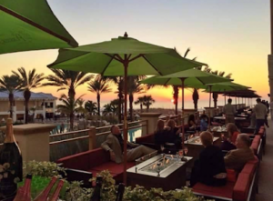 Caretta on the Gulf-Clearwater