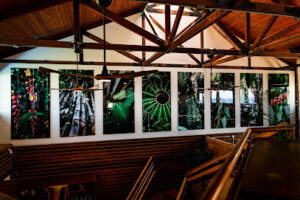 Papa Kona Restaurant & Bar-Kailua-Kona