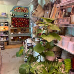 Steads Farm Supply Country Store-Boissevain