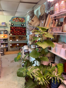Steads Farm Supply Country Store-Boissevain