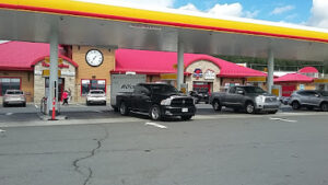 The Pirate-Edmundston