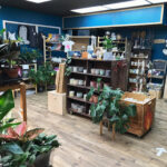Sawmill Tea & Coffee Co.-Boissevain